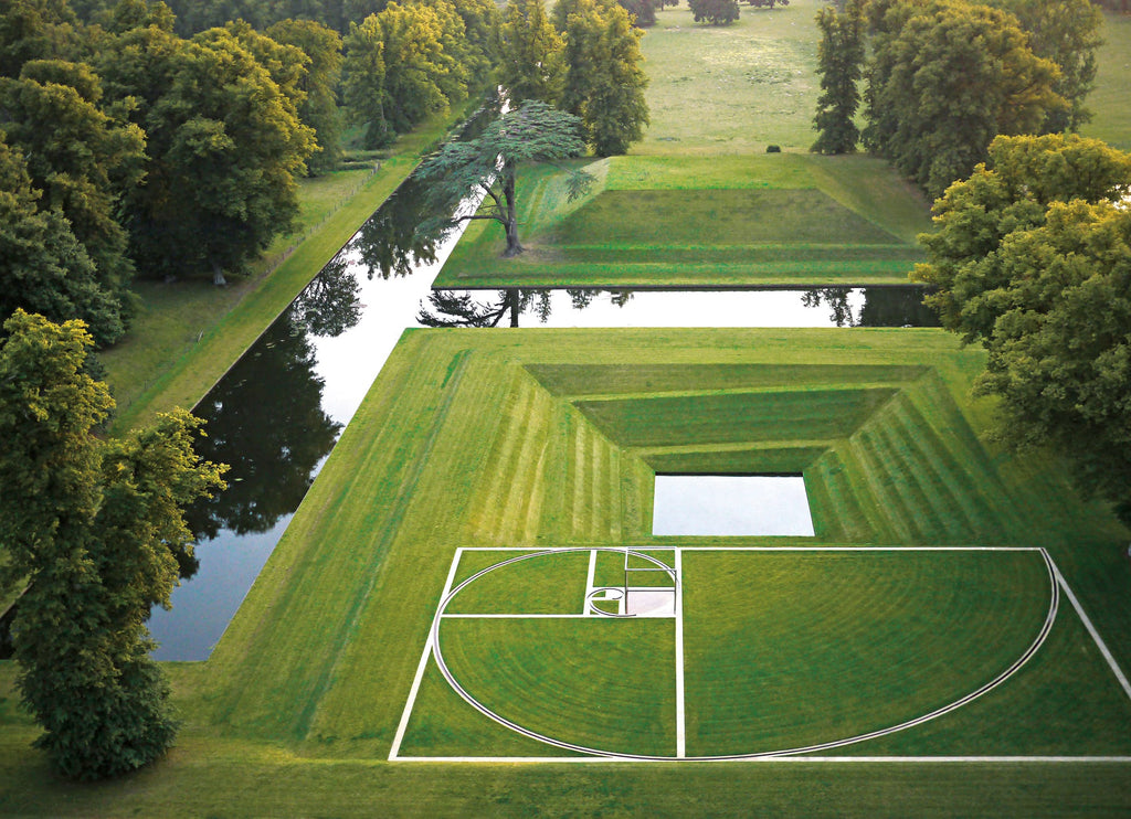 The Contemporary Garden