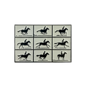 Horse In Motion Enamel Pin