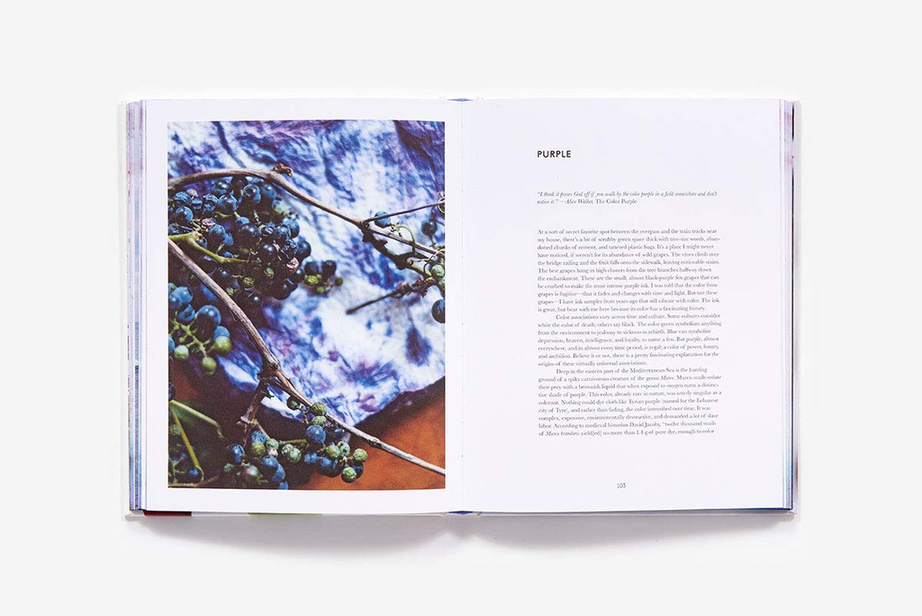 Make Ink: A Forager's Guide to Natural Inkmaking