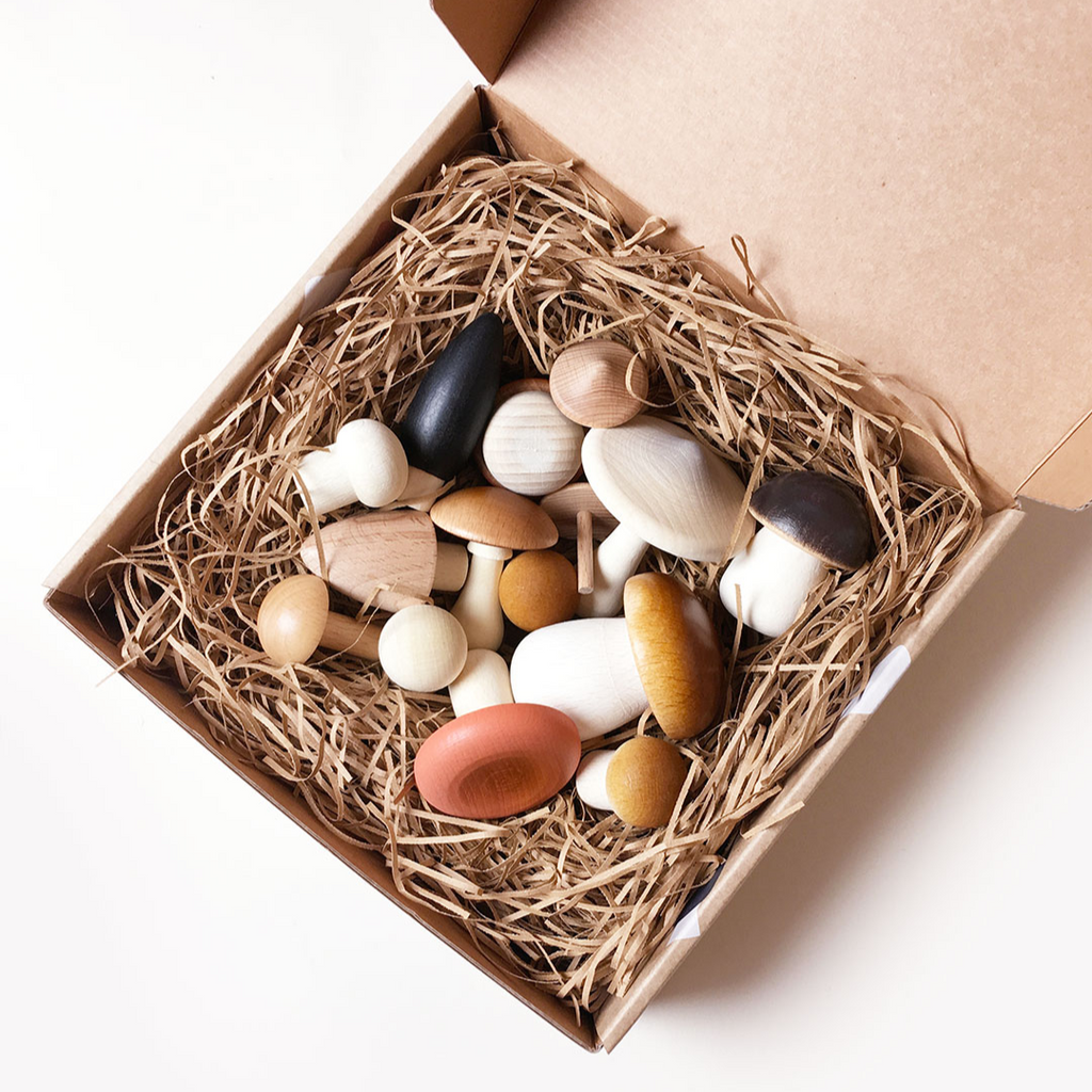 Forest Mushrooms in a Box