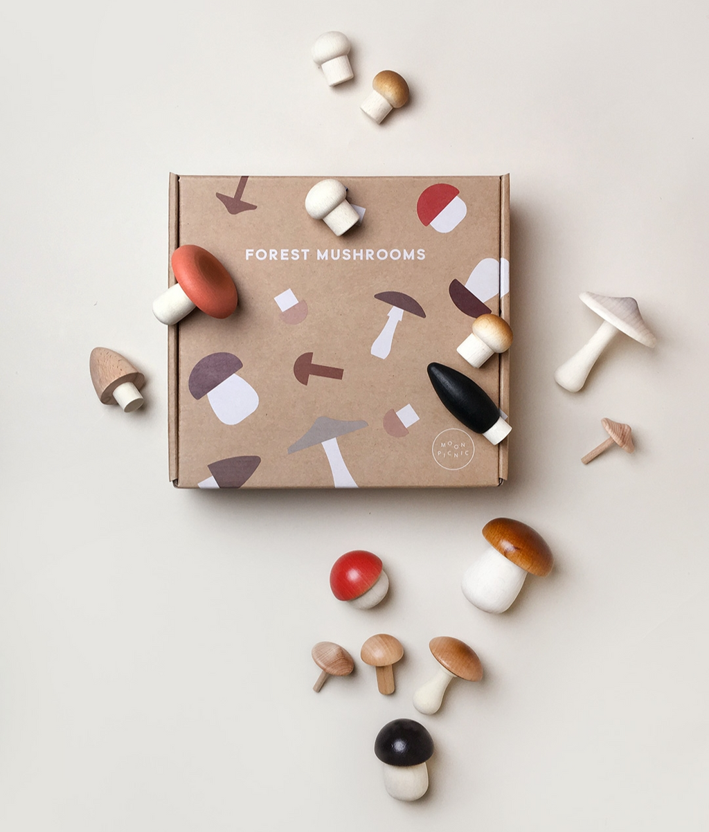 Forest Mushrooms in a Box