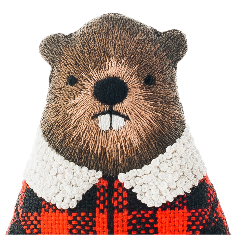 Beaver Embroidery Kit
