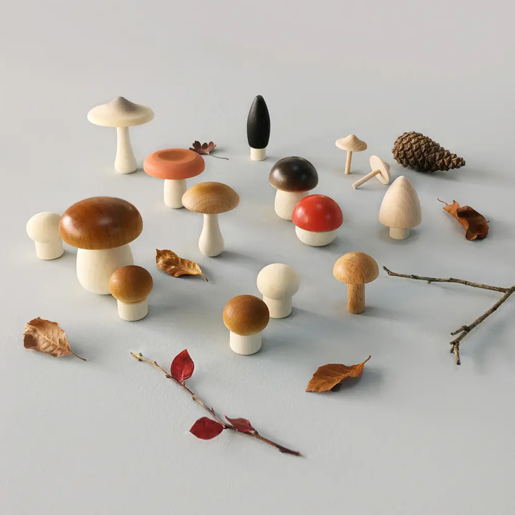 Forest Mushrooms in a Box