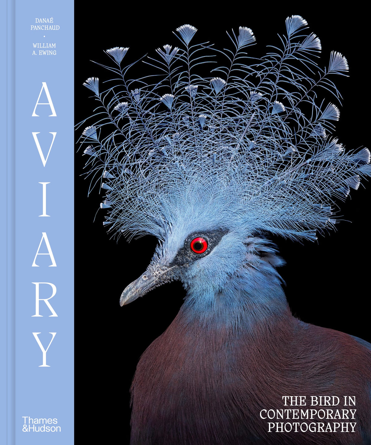 Photo inspiration: Free Standing Modern Bird Aviary Reference: Aviary The Bird In Contemporary Photography