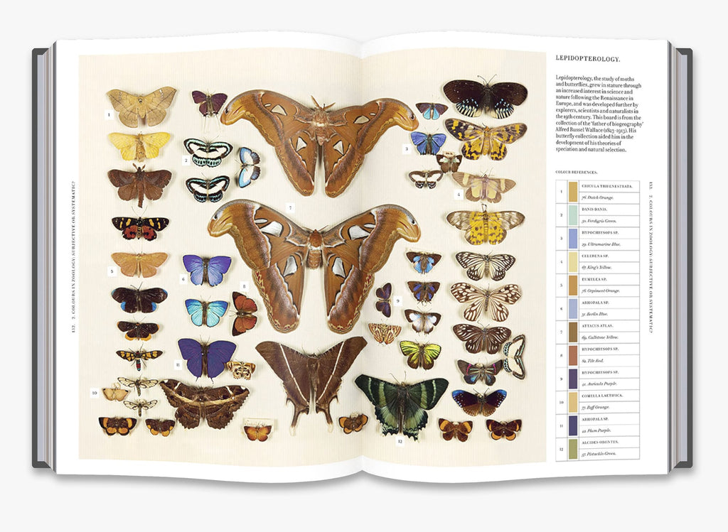 Nature’s Palette: A Color Reference System from the Natural World