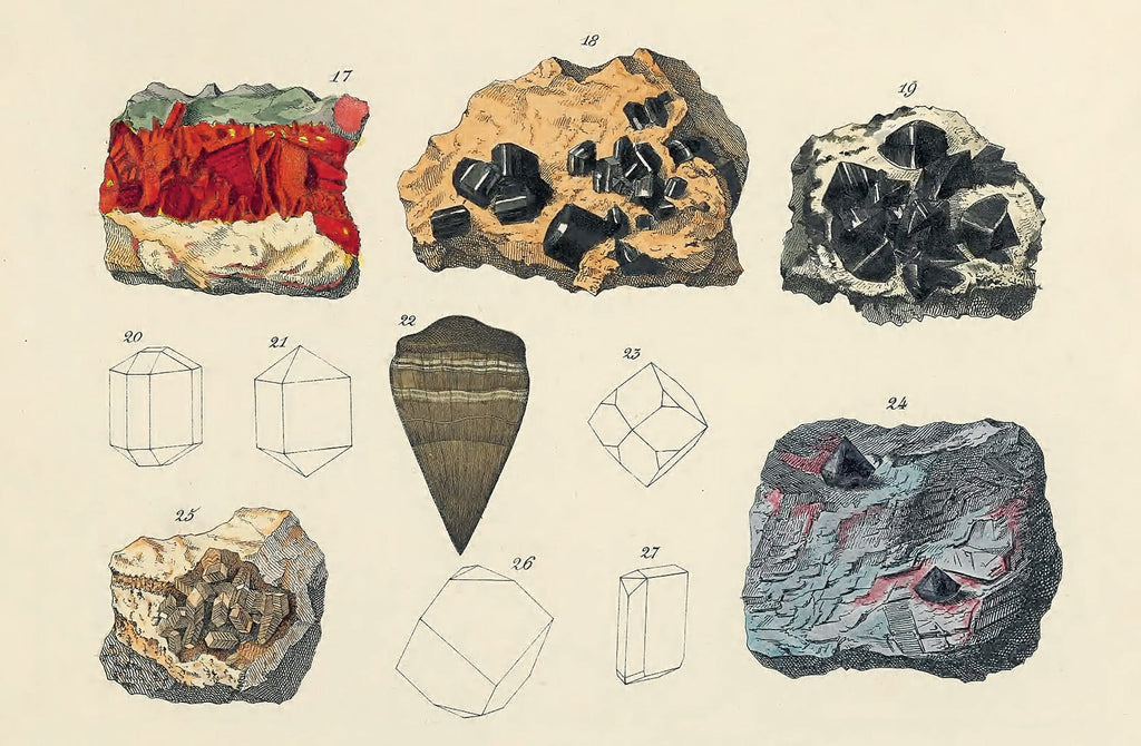Nature’s Palette: A Color Reference System from the Natural World