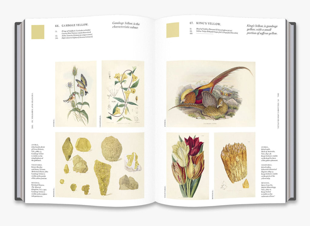 Nature’s Palette: A Color Reference System from the Natural World