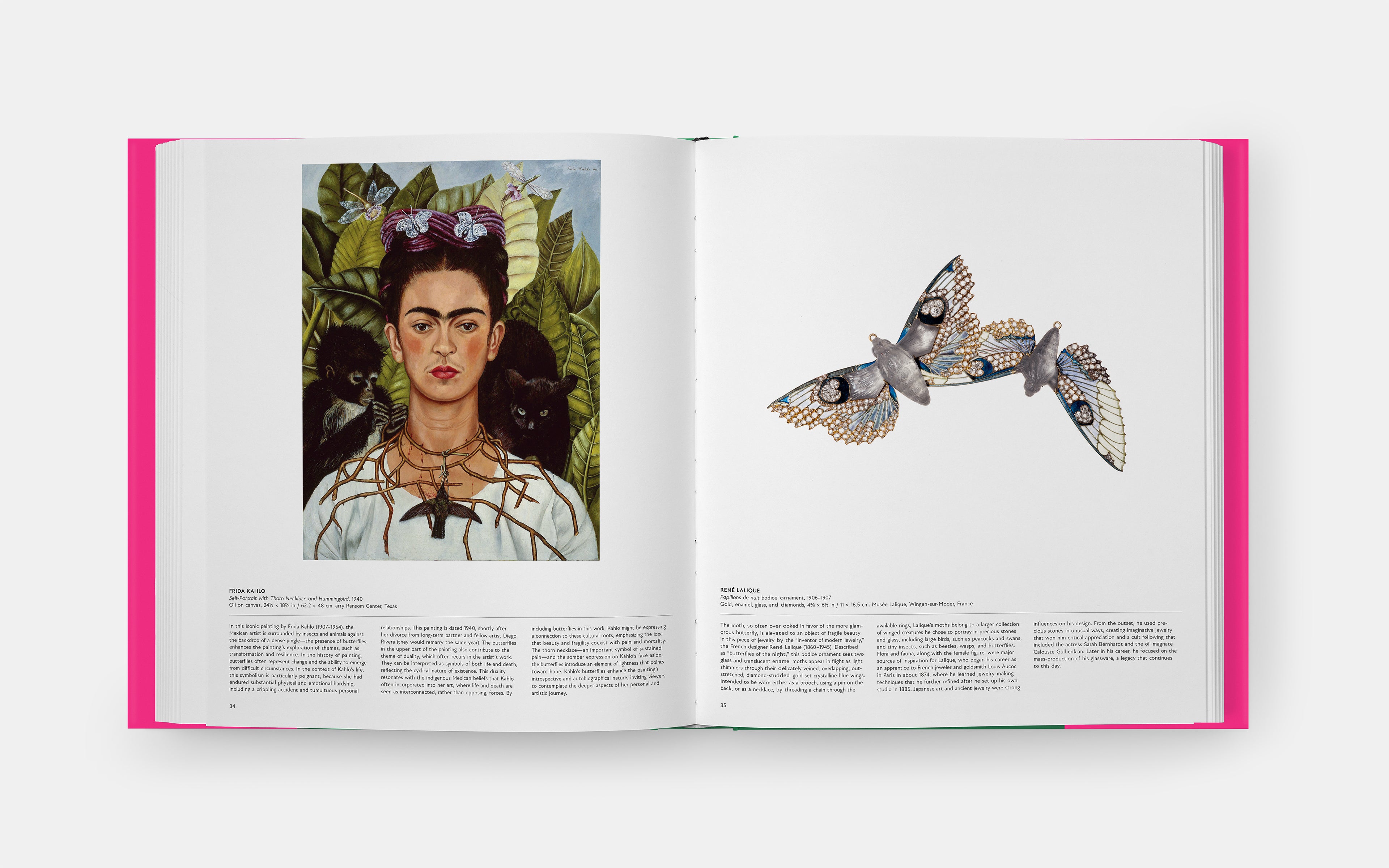 Butterfly: Exploring the World of Lepidoptera