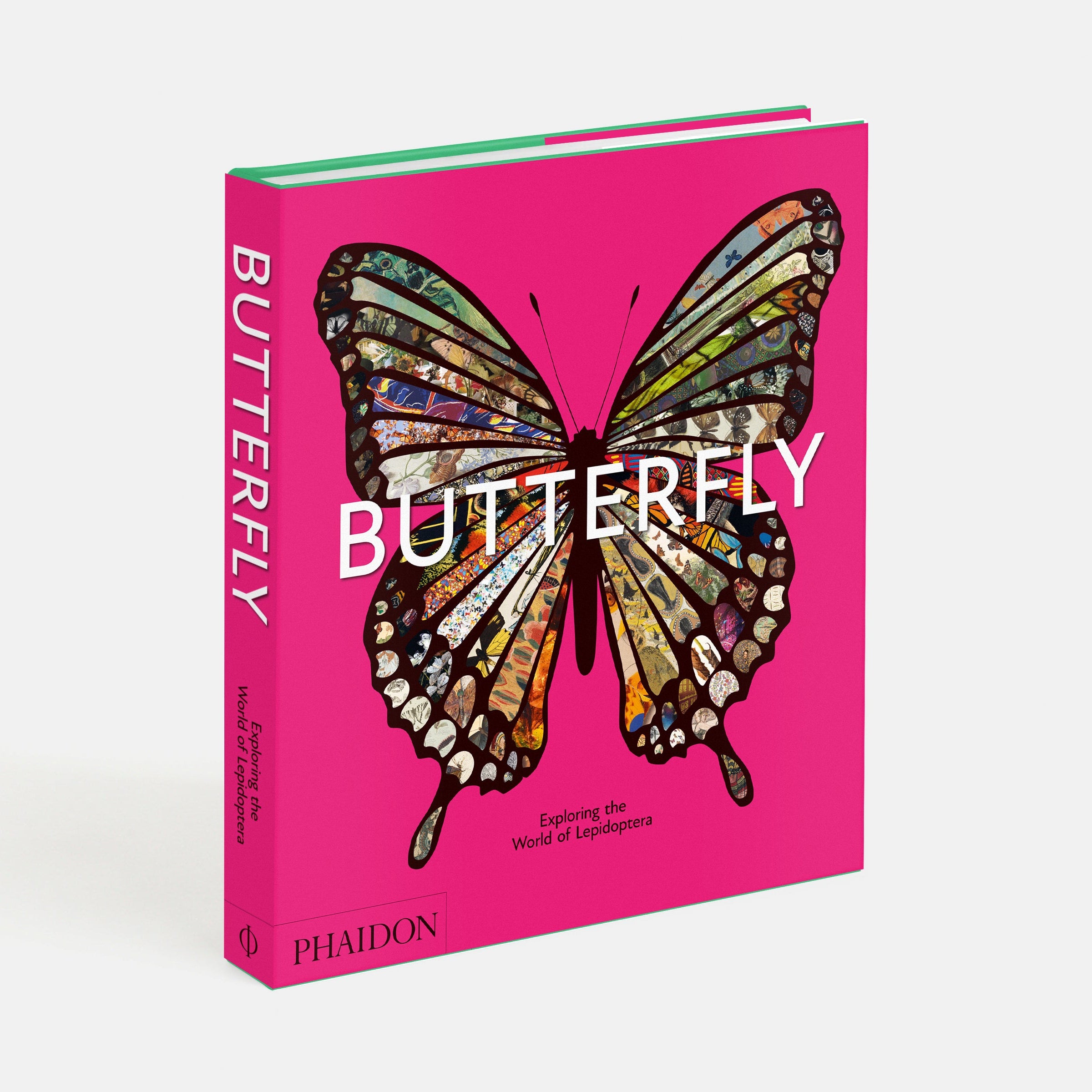 Butterfly: Exploring the World of Lepidoptera