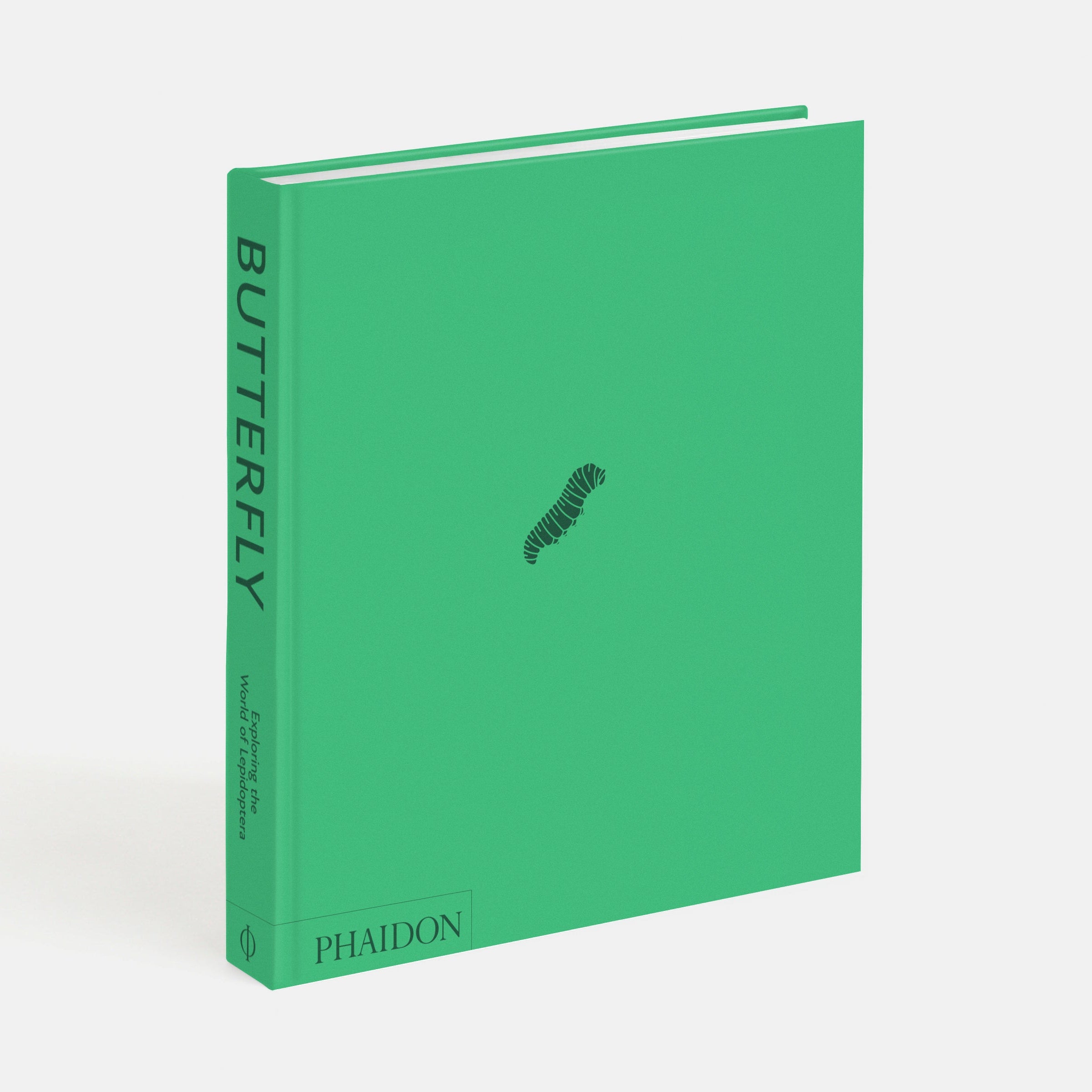Butterfly: Exploring the World of Lepidoptera