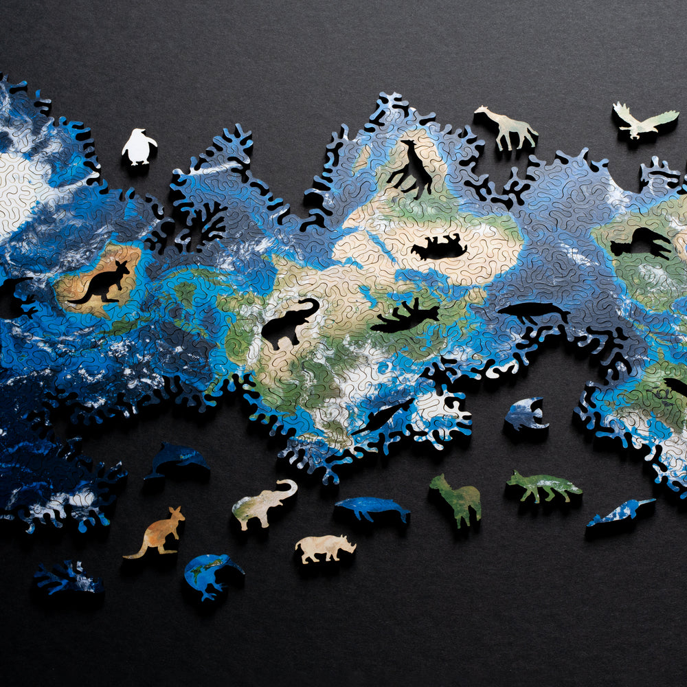 Earth Infinity Puzzle