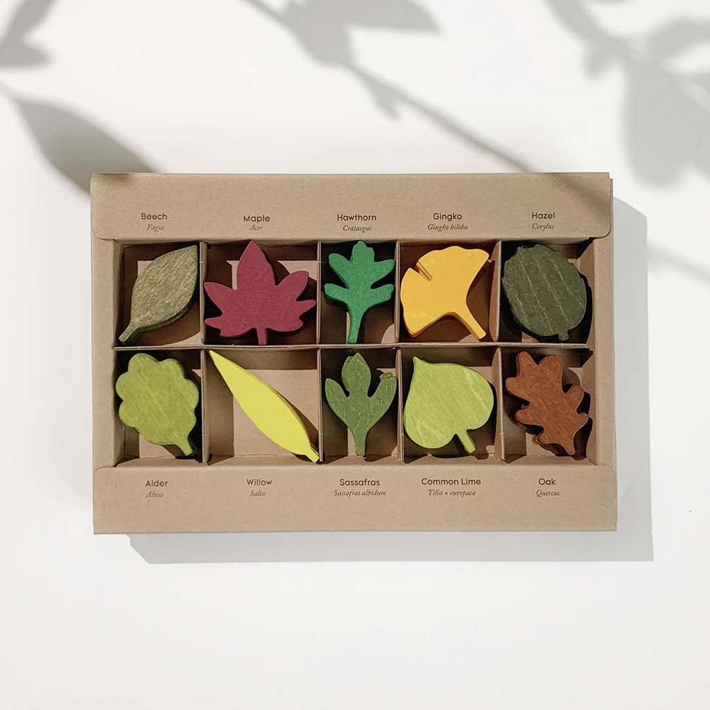Woodland Leaves