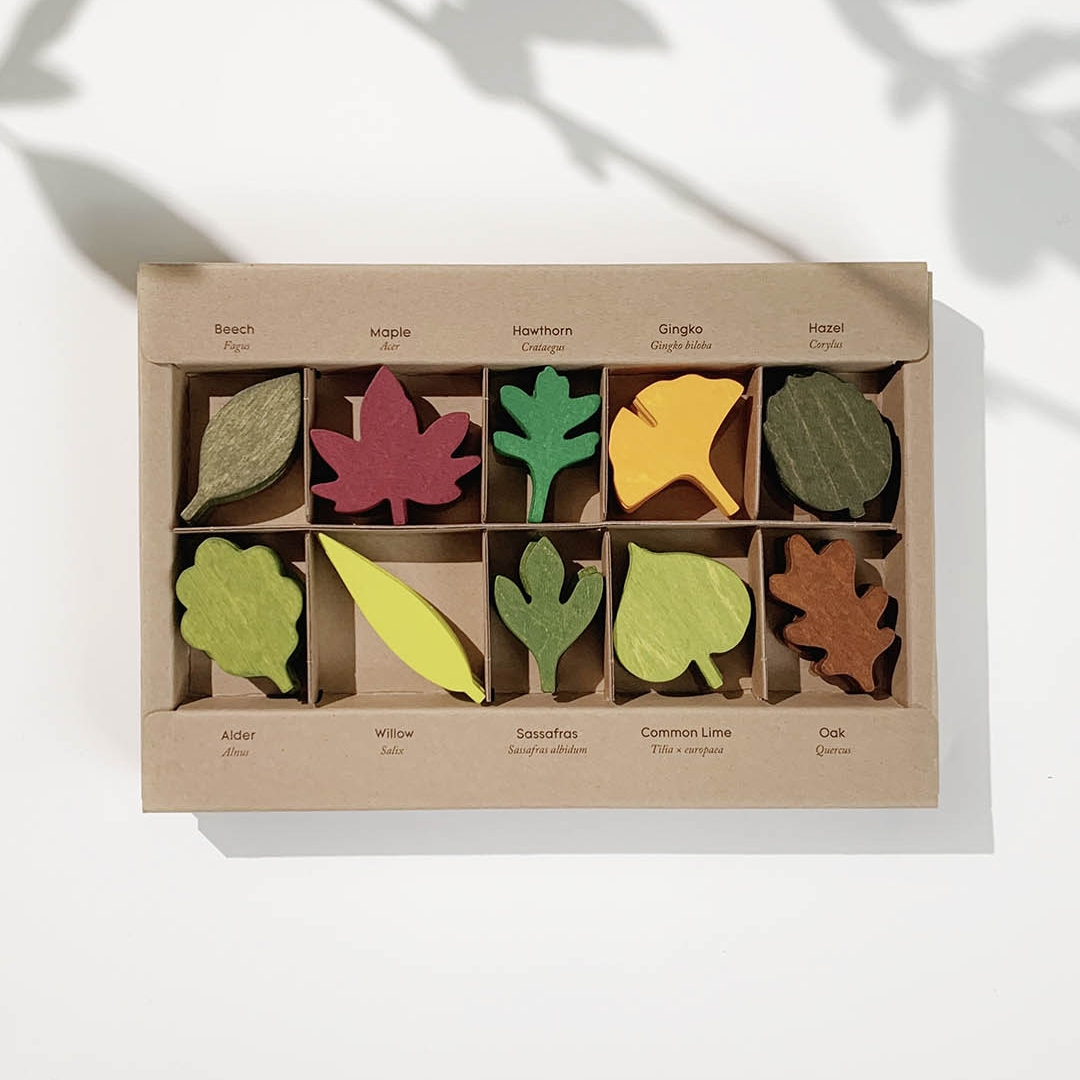 Woodland Leaves