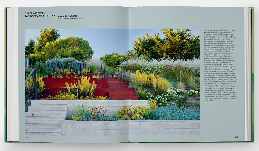 The Contemporary Garden