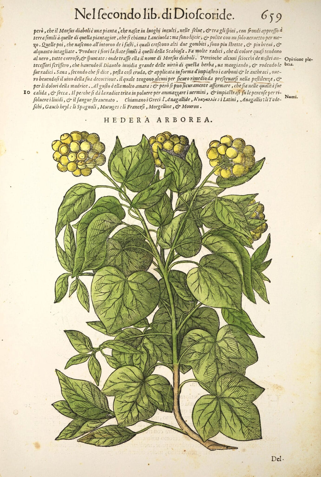 Gold from Newton's Apple Tree