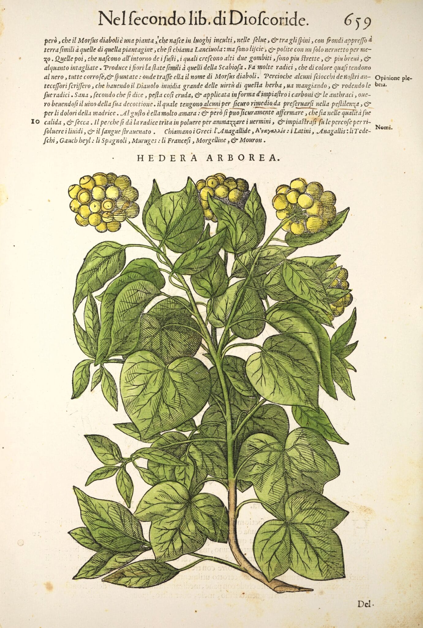 Gold from Newton's Apple Tree