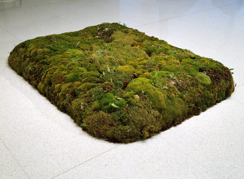 Groundswell: Women of Land Art