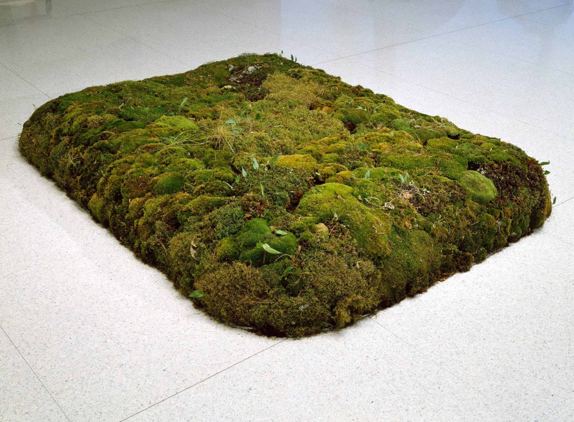 Groundswell: Women of Land Art
