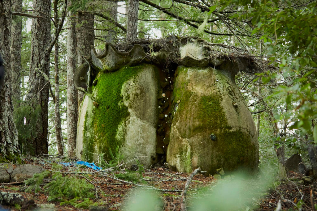 A moss-covered stone structure or cave-like rock formation in a dense forest, with tree trunks and leaf-laden ground visible around it.