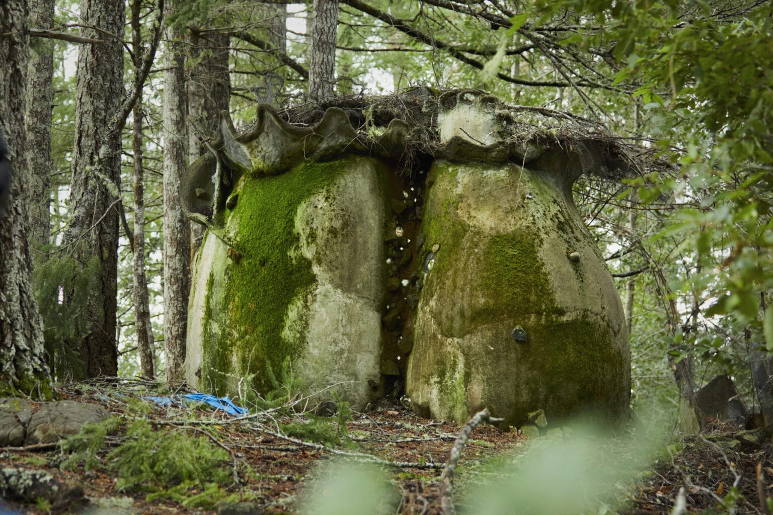 A moss-covered stone structure or cave-like rock formation in a dense forest, with tree trunks and leaf-laden ground visible around it.