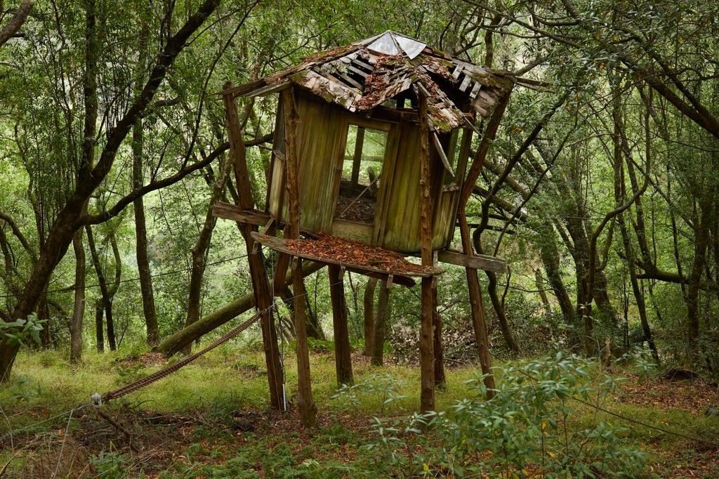 An abandoned wooden treehouse structure with a collapsed roof, elevated on tall wooden legs in a dense forest.