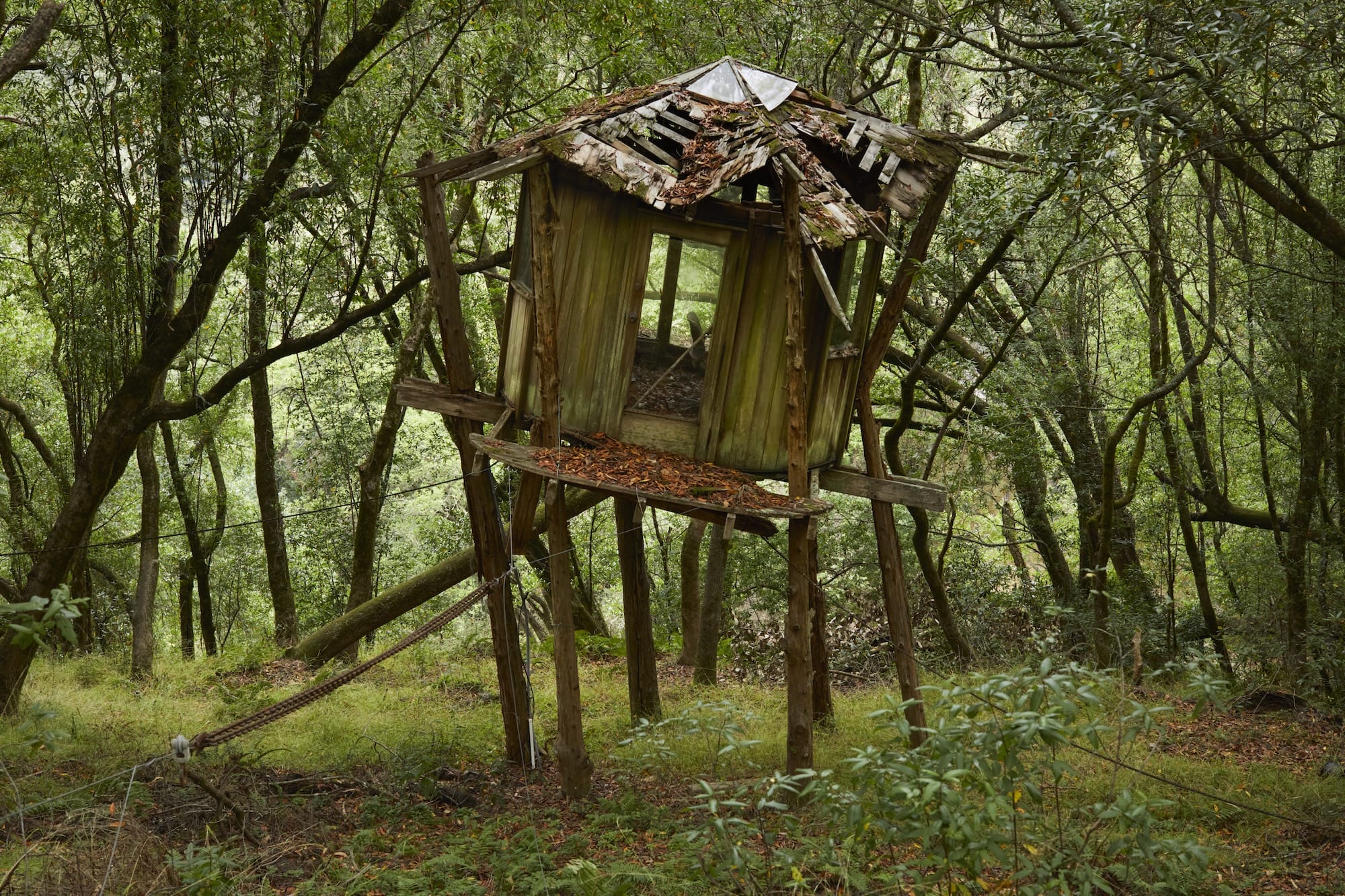 An abandoned wooden treehouse structure with a collapsed roof, elevated on tall wooden legs in a dense forest.