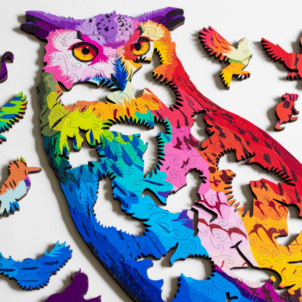 A Hoot of Many Colors Puzzle