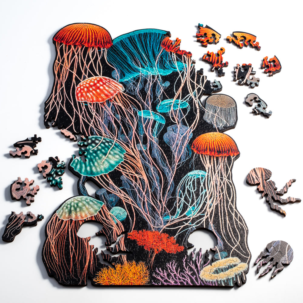 Jellyfish Dreams Puzzle
