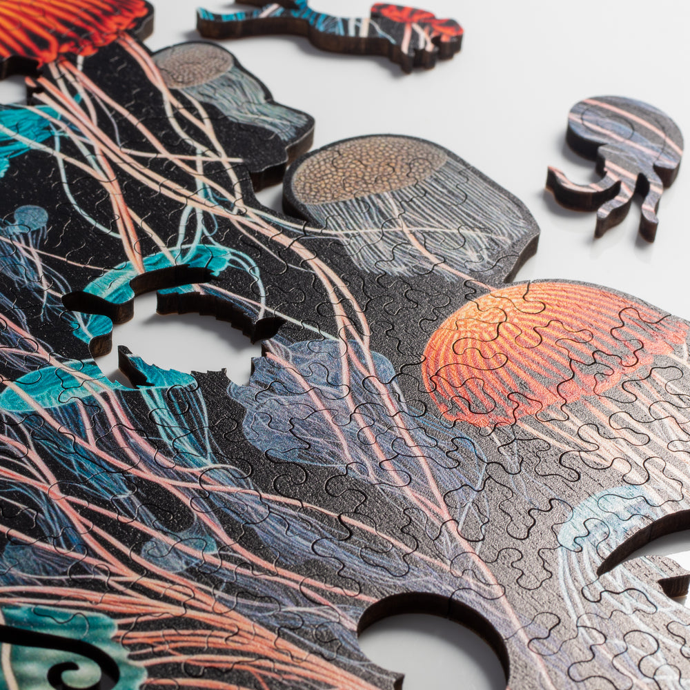 Jellyfish Dreams Puzzle