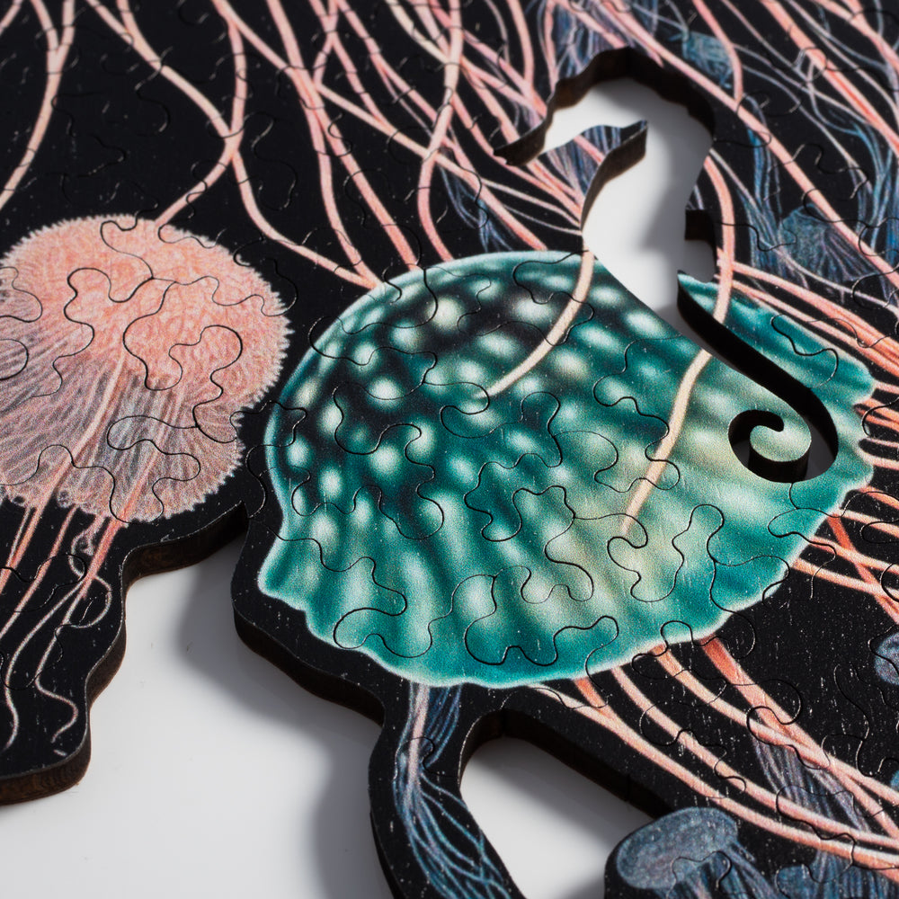Jellyfish Dreams Puzzle
