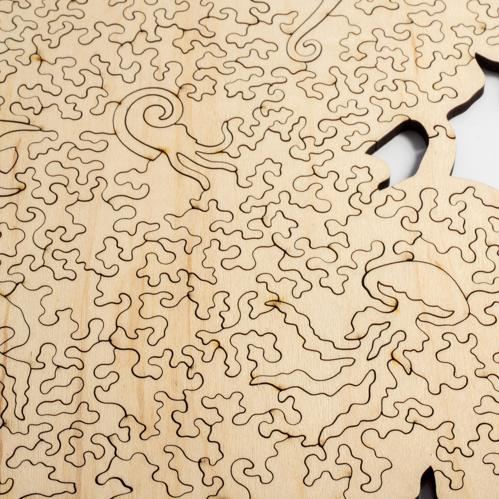 Jellyfish Dreams Puzzle