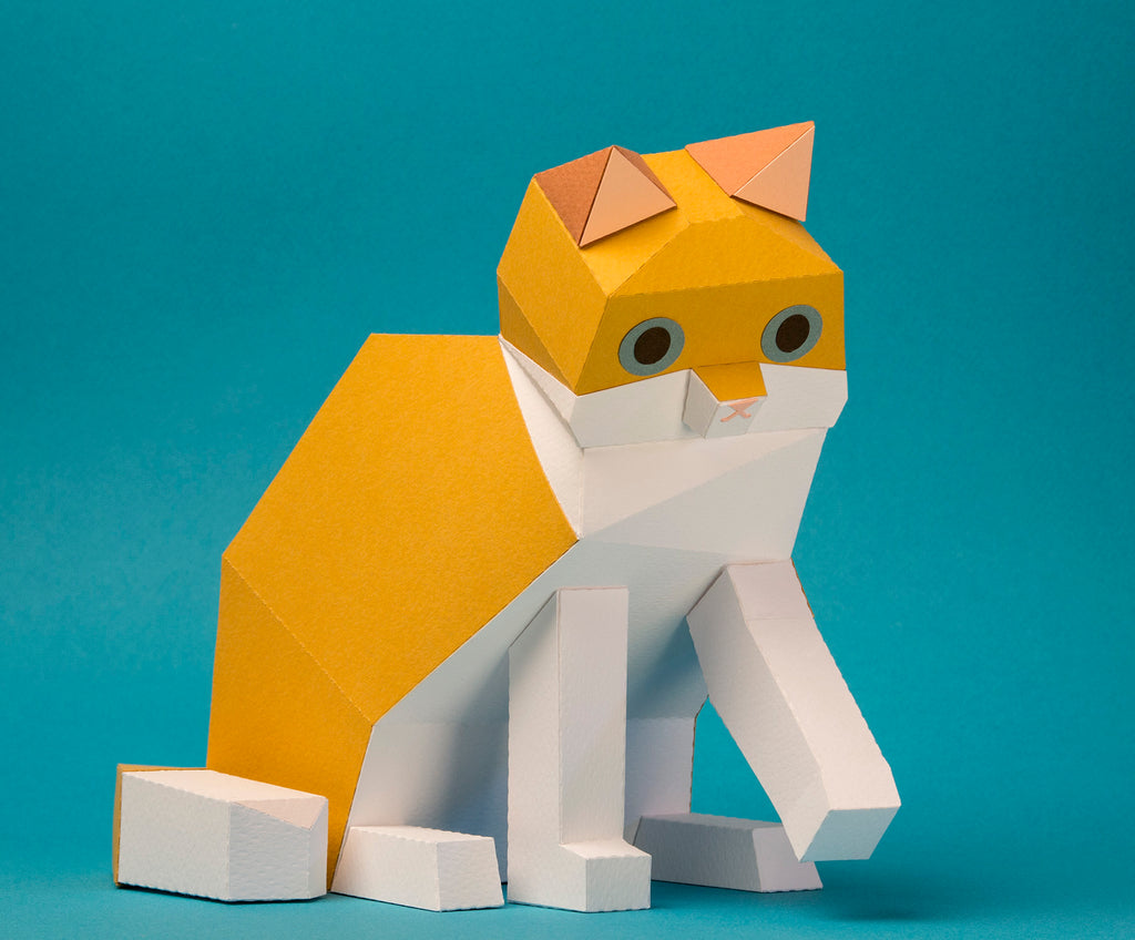Kinoto Paper Model Kit