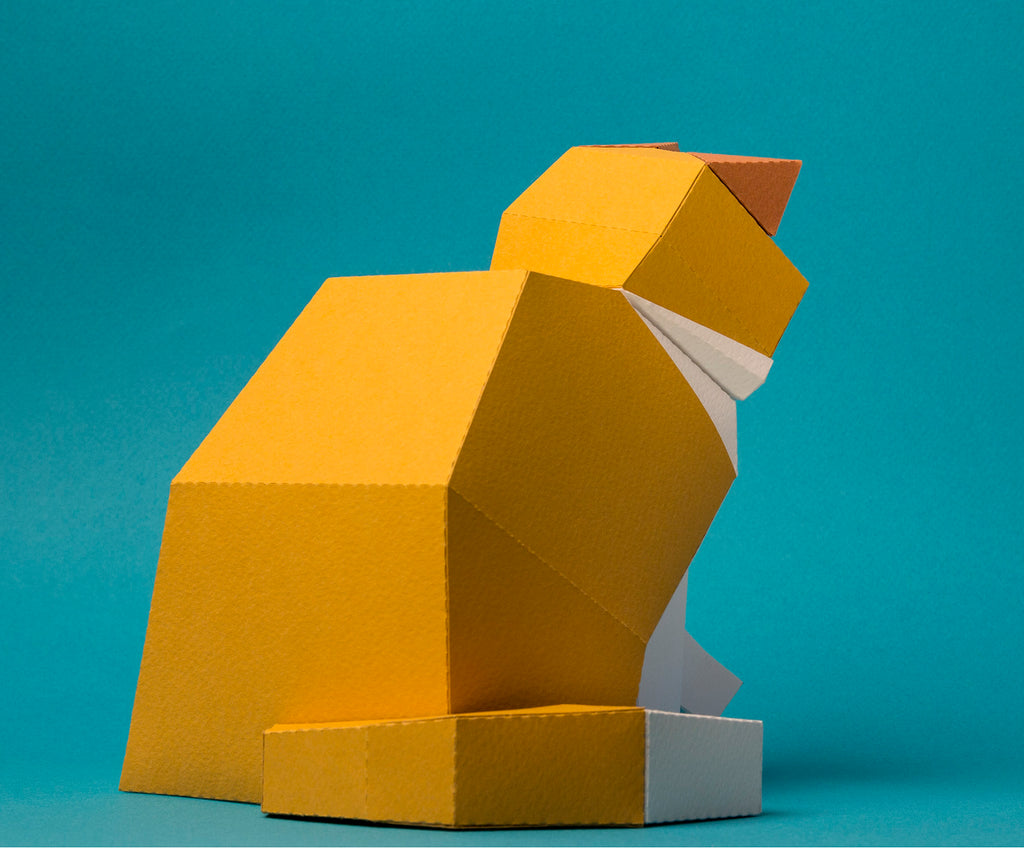 Kinoto Paper Model Kit