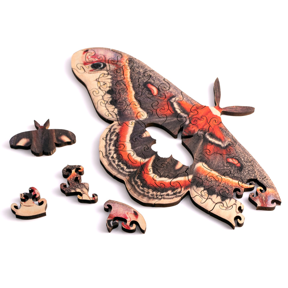 Moth Mini Puzzle