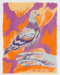 Pigeon Risograph Print