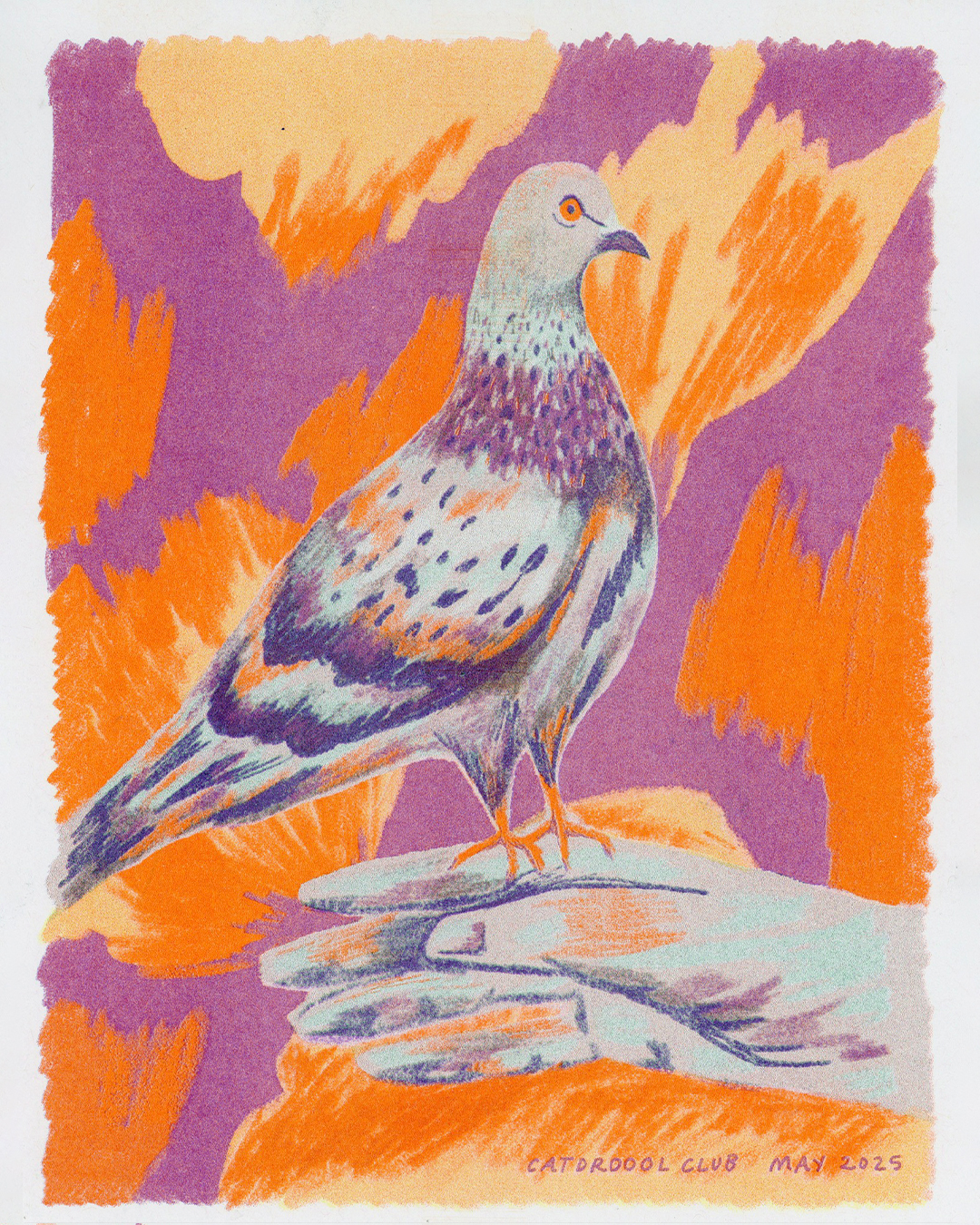 Pigeon Risograph Print