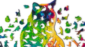 Herding Cats Puzzle