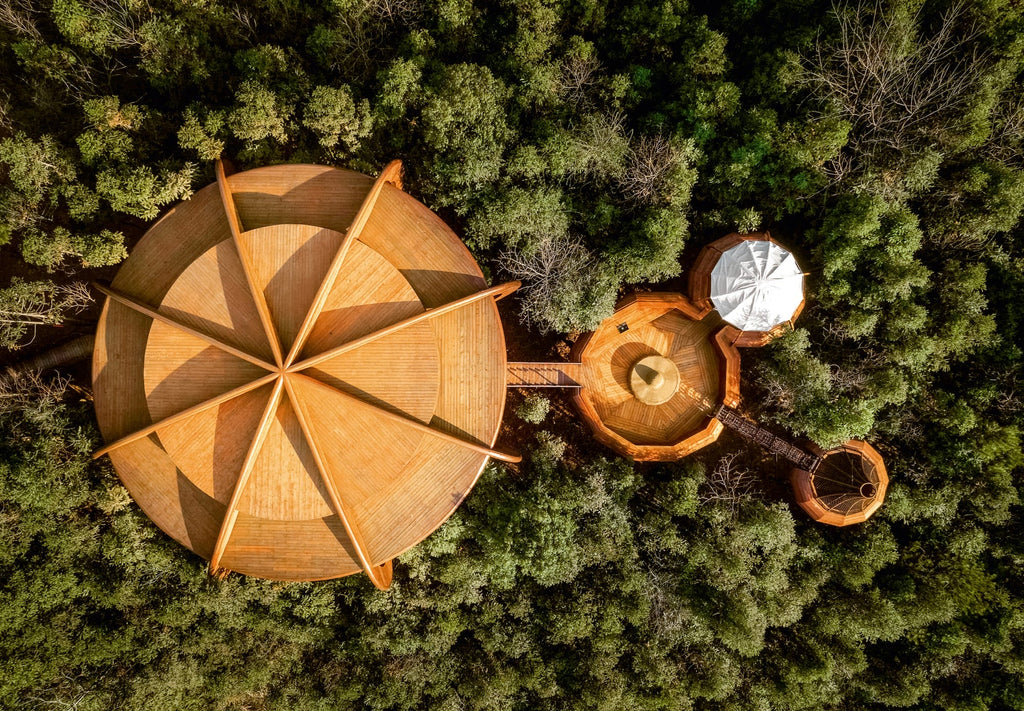 Modern Tree Houses