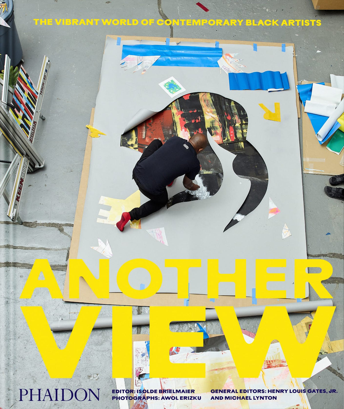 Another View: The Vibrant World of Contemporary Black Artists (Pre-Order)